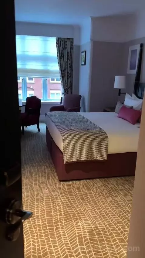Executive, Larger Guest Room, 1 King (#342) bed picture #2