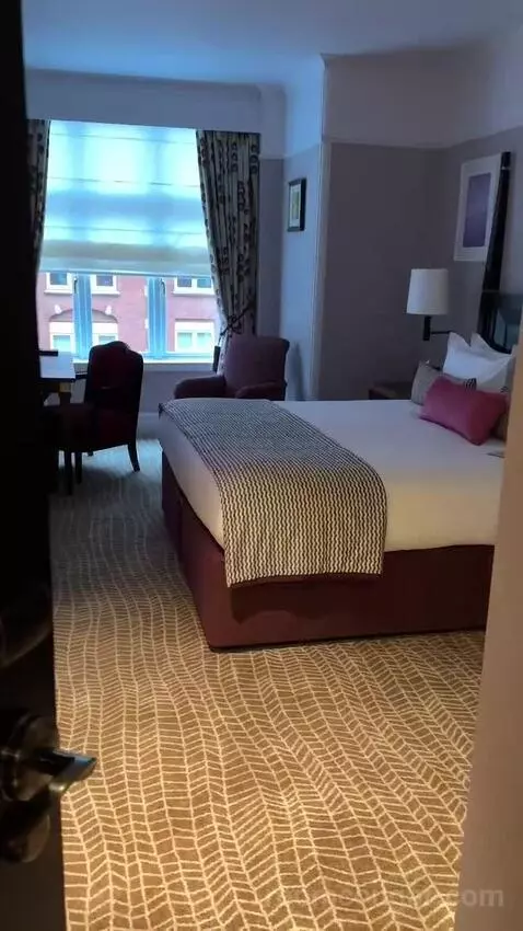 Executive, Larger Guest Room, 1 King (#342) bed picture #3