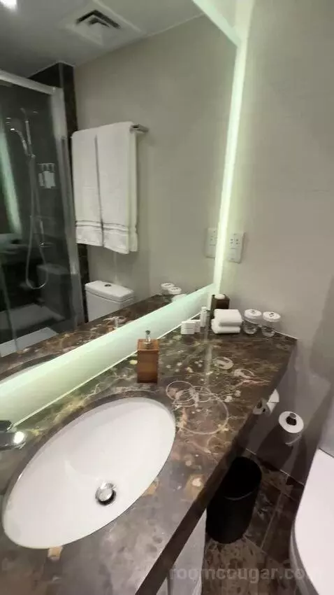 Executive, Larger Guest Room, 1 King (#342) bathroom picture #9