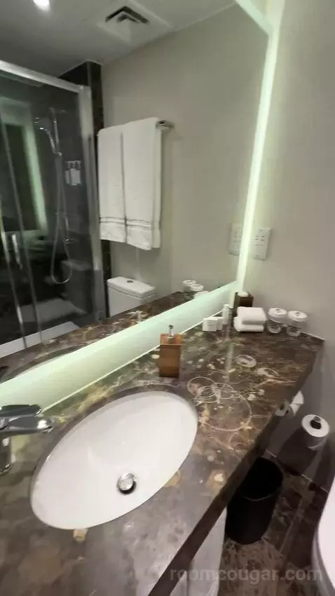 Executive, Larger Guest Room, 1 King (#342) bathroom picture #10