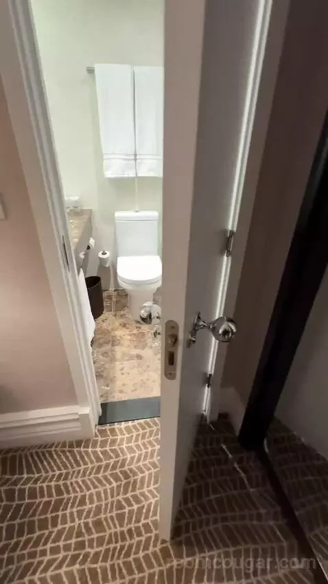 Executive, Larger Guest Room, 1 King (#342) bathroom picture #2