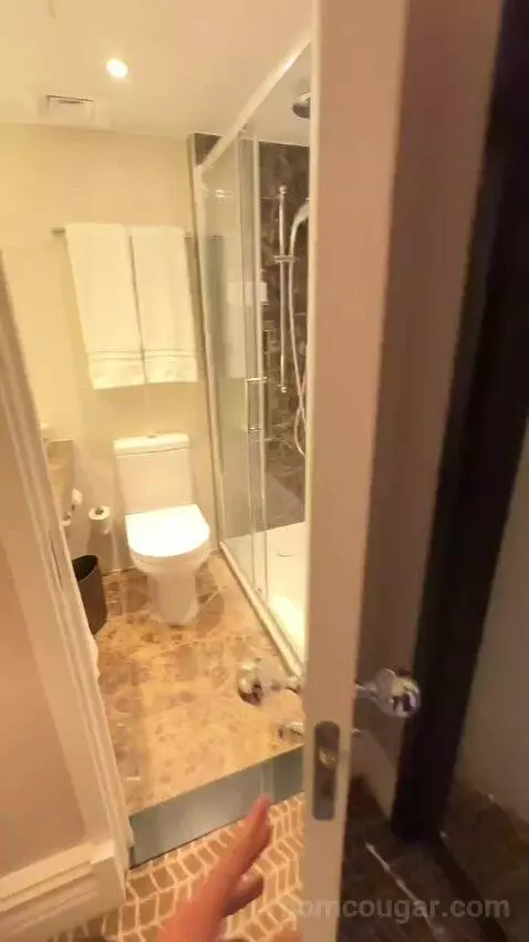 Executive, Larger Guest Room, 1 King (#342) bathroom picture #3