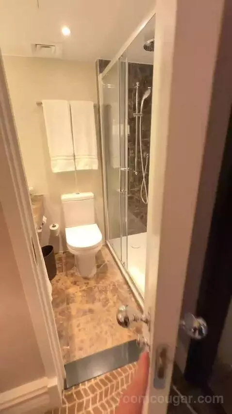 Executive, Larger Guest Room, 1 King (#342) bathroom picture #4