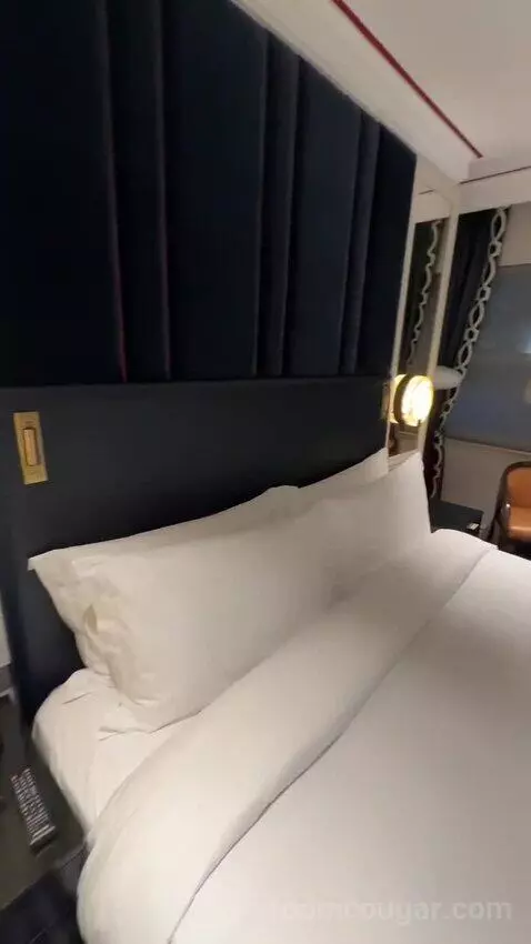 Deluxe King (#29) bed picture #9