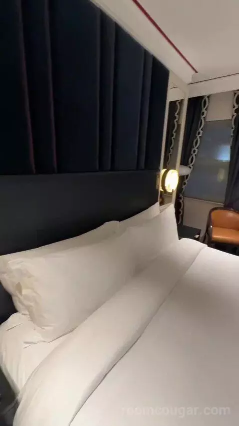 Deluxe King (#29) bed picture #10