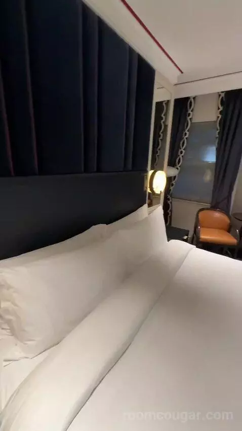 Deluxe King (#29) bed picture #11