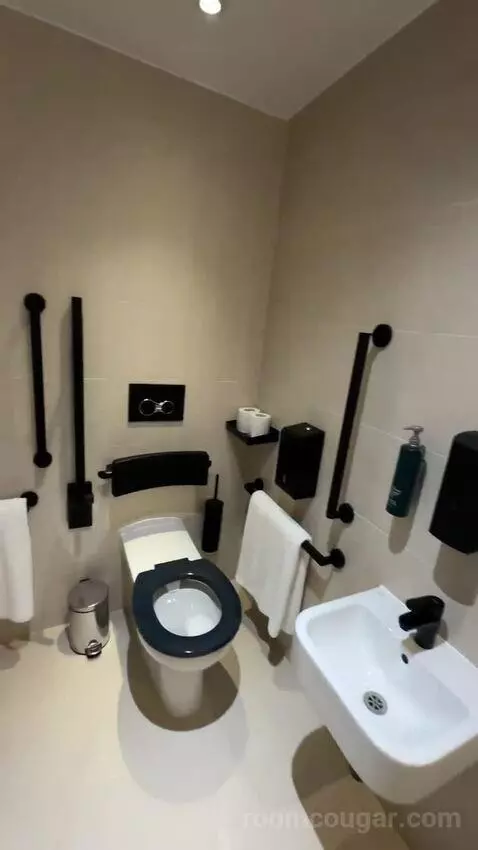 Queen Room, Accessible (#2322) bathroom picture #4