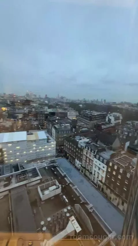 Mayfair Suite (#1418) view picture #1