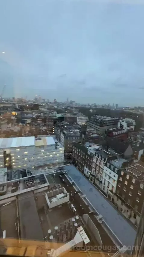 Mayfair Suite (#1418) view picture #2