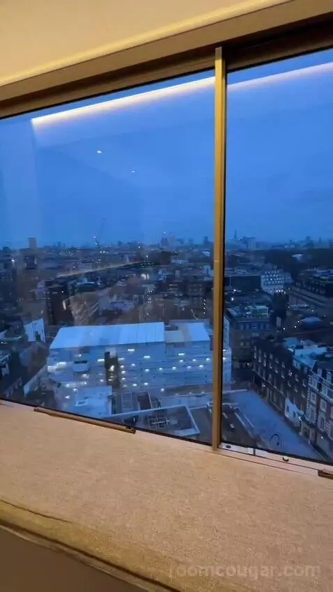 Mayfair Suite (#1418) view picture #8