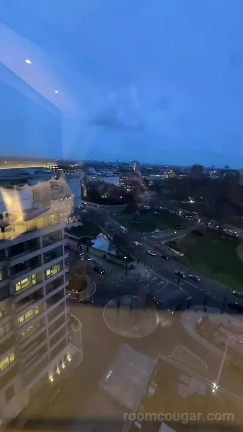 Deluxe King Room (#1302) view picture #3