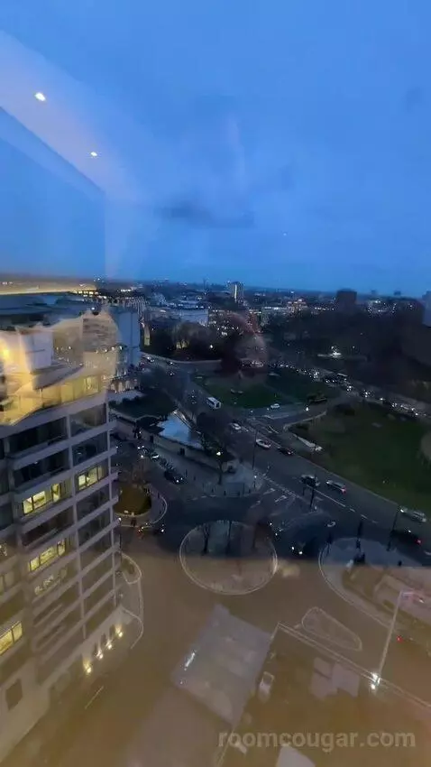 Deluxe King Room (#1302) view picture #4