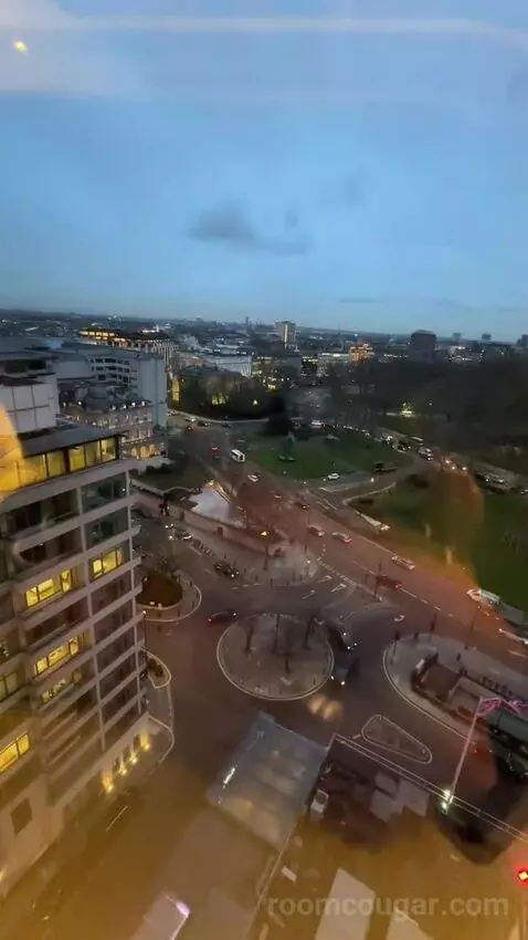 Deluxe King Room (#1302) view picture #6