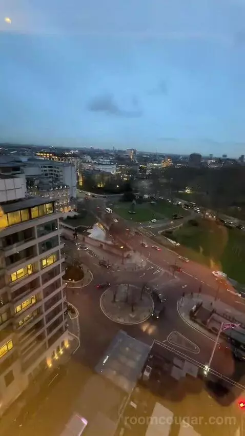 Deluxe King Room (#1302) view picture #7