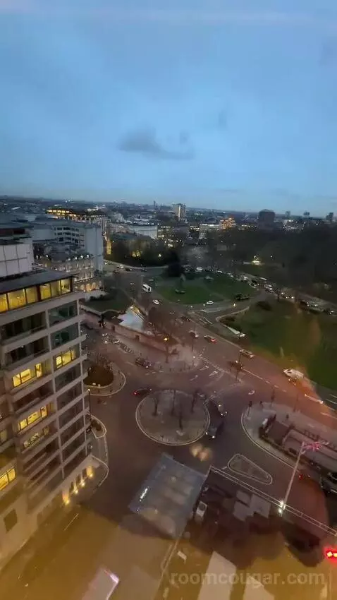 Deluxe King Room (#1302) view picture #8