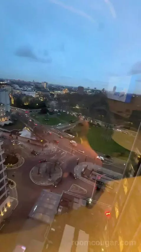 Deluxe King Room (#1302) view picture #9