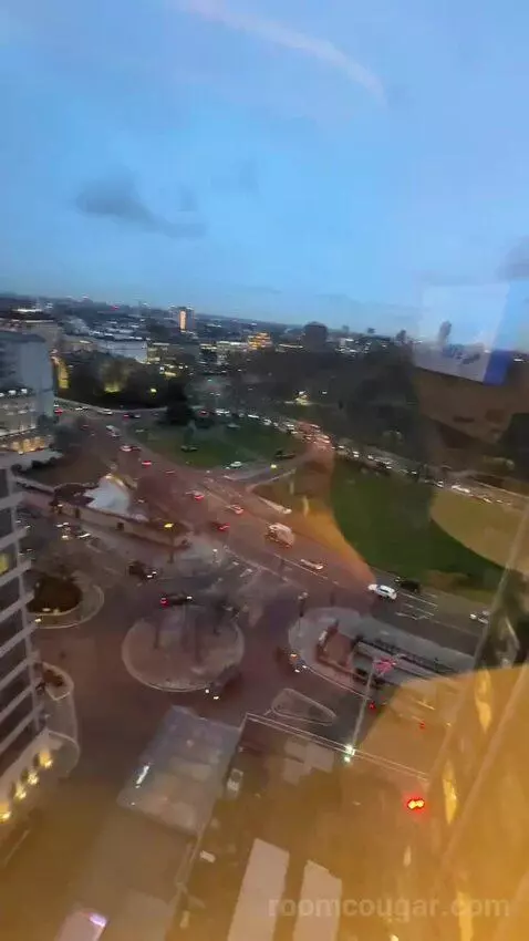 Deluxe King Room (#1302) view picture #10