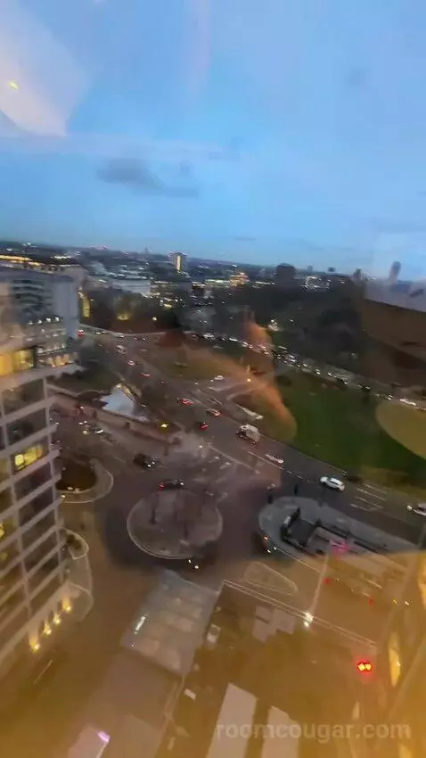 Deluxe King Room (#1302) view picture #11