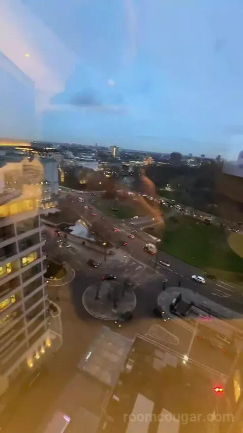 Deluxe King Room (#1302) view picture #12