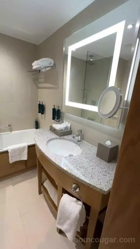 Deluxe King Room (#1302) bathroom picture #1