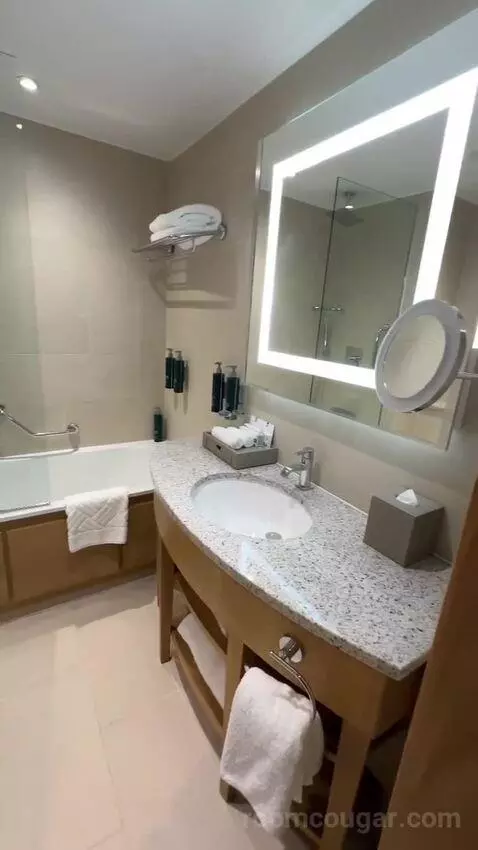 Deluxe King Room (#1302) bathroom picture #3