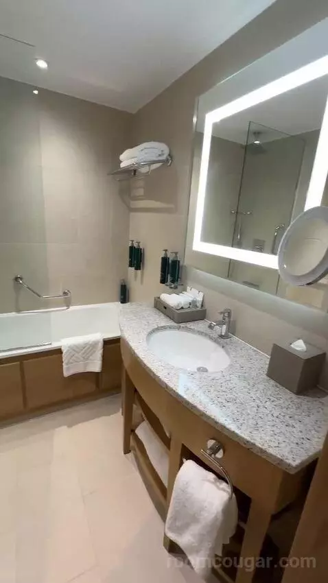 Deluxe King Room (#1302) bathroom picture #4