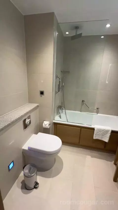 Deluxe King Room (#1302) bathroom picture #5