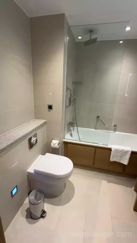 Deluxe King Room (#1302) bathroom picture #6