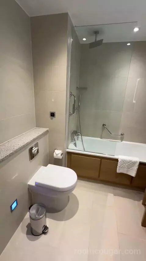 Deluxe King Room (#1302) bathroom picture #7