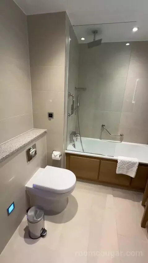 Deluxe King Room (#1302) bathroom picture #8