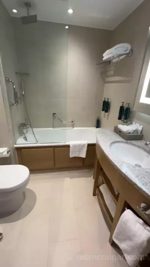 Deluxe King Room (#1302) bathroom picture #9