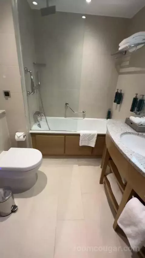 Deluxe King Room (#1302) bathroom picture #11