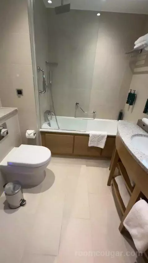 Deluxe King Room (#1302) bathroom picture #12