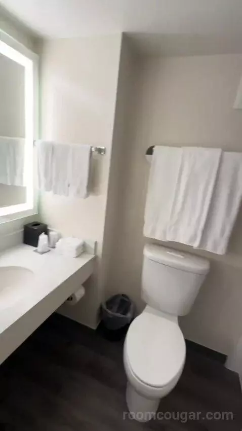 Tower Ocean King, Guest Room, 1 King, Ocean View (#1946) bathroom picture #4