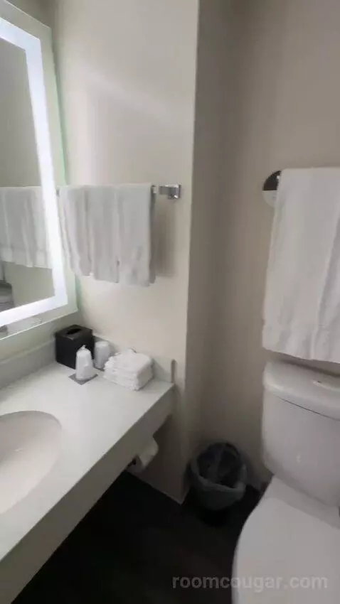 Tower Ocean King, Guest Room, 1 King, Ocean View (#1946) bathroom picture #6