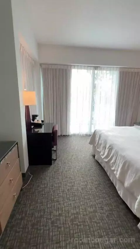 Princess Pool View King, Guest Room, 1 King, Pool View (#436) bed picture #7