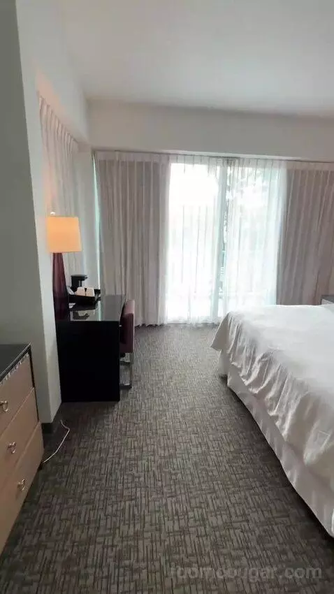 Princess Pool View King, Guest Room, 1 King, Pool View (#436) bed picture #8