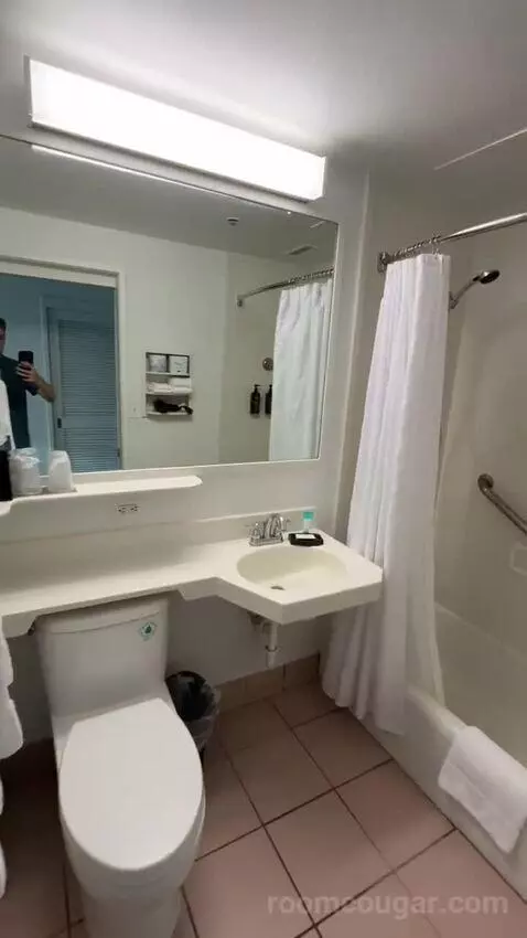 Princess Pool View King, Guest Room, 1 King, Pool View (#436) bathroom picture #1