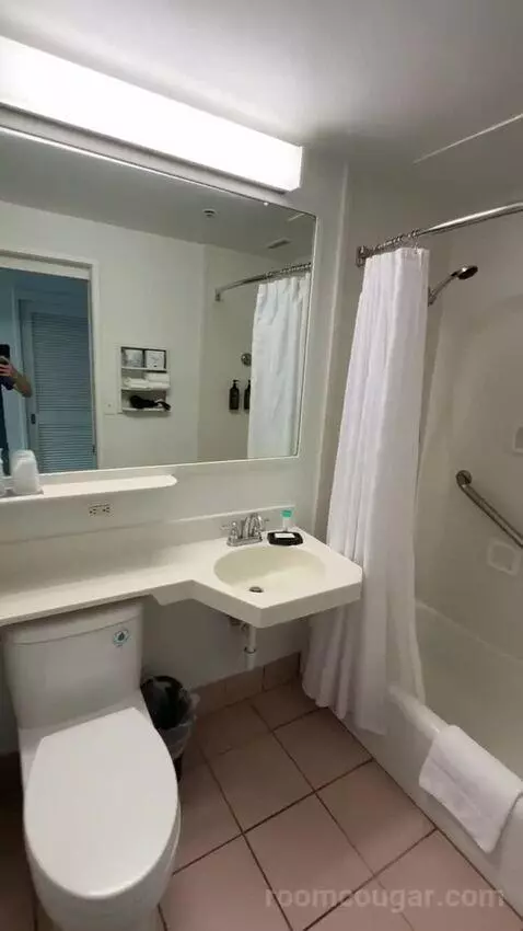 Princess Pool View King, Guest Room, 1 King, Pool View (#436) bathroom picture #2