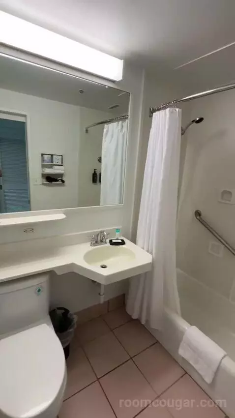 Princess Pool View King, Guest Room, 1 King, Pool View (#436) bathroom picture #3