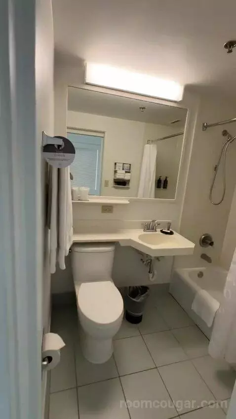 Princess Ocean Double, Guest Room, 2 Double, Ocean View (#1030) bathroom picture #1