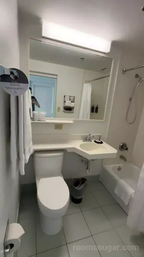 Princess Ocean Double, Guest Room, 2 Double, Ocean View (#1030) bathroom picture #4