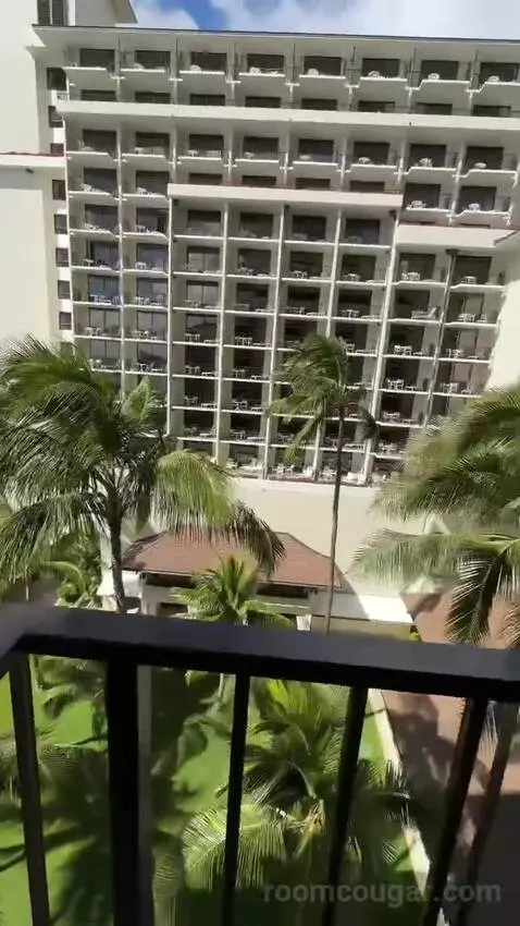 Partial Ocean View King (#834) picture #11