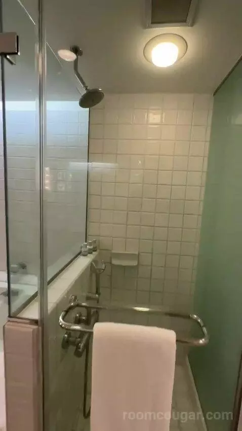 Partial Ocean View King (#834) bathroom picture #3