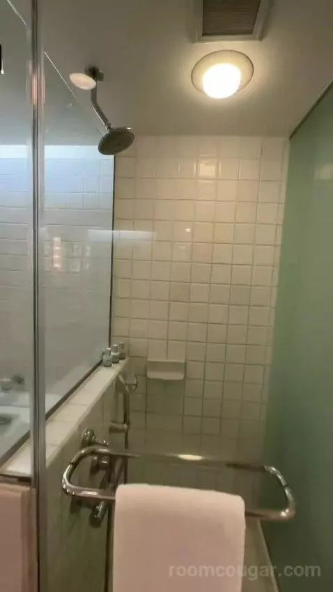 Partial Ocean View King (#834) bathroom picture #4