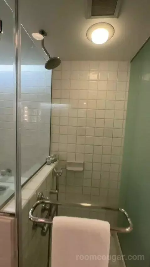 Partial Ocean View King (#834) picture #14