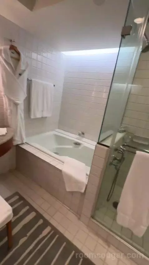 Partial Ocean View King (#834) bathroom picture #5