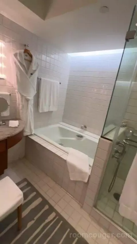Partial Ocean View King (#834) picture #15