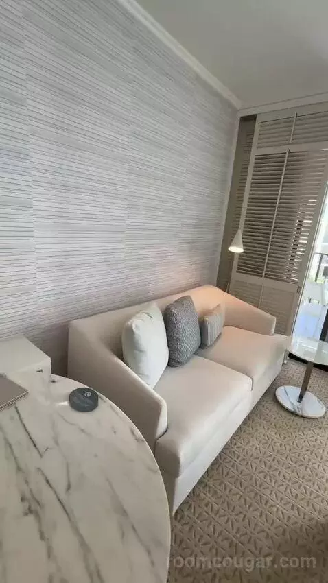 Partial Ocean View King (#834) picture #19