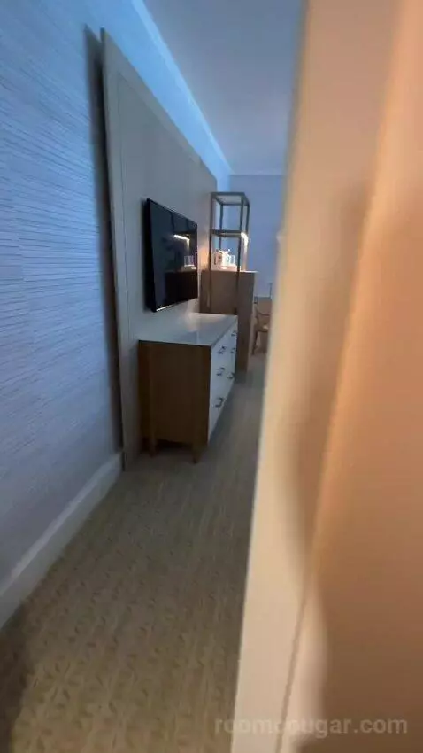 Partial Ocean View King (#834) picture #3